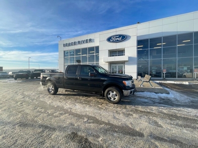 Used 2013 Ford F-150 for Sale in Peace River, Alberta