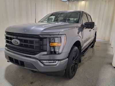 2023 Ford F-150 XLT 302A W/BLACK APPEARANCE PACKAGE