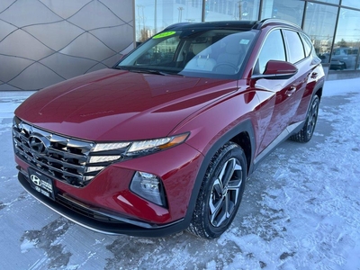 Used 2022 Hyundai Tucson Hybrid Luxury for Sale in Winnipeg, Manitoba