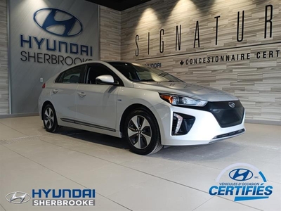 Used Hyundai Ioniq 2019 for sale in rock-forest, Quebec