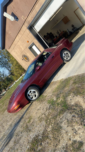 1995 Pontiac Firebird Basic