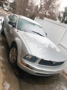 2005 FORD MUSTANG - PROJECT CAR MUST BE TOWED!
