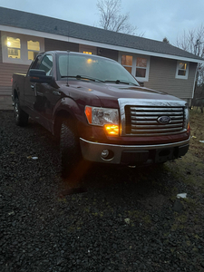 2010 ford f150