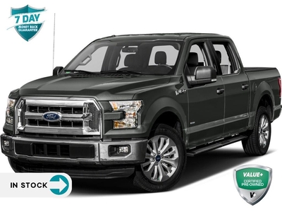 Used 2017 Ford F-150 XLT 301A SPORT PACKAGE FX4 LOW MILEAGE for Sale in Kitchener, Ontario