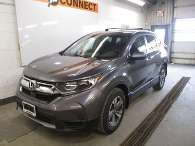 Used 2019 Honda CR-V LX for Sale in Peterborough, Ontario