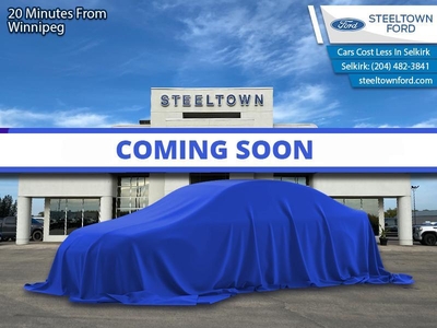 Used 2020 Ford Edge ST - Leather Seats - Premium Audio for Sale in Selkirk, Manitoba