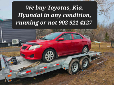 Buying Toyotas, Kia, Hyundai any condition running or broke etc