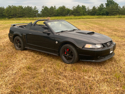 FORD MUSTANG GT - convertible