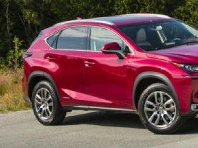 Used 2019 Lexus NX NX 300h for Sale in Cayuga, Ontario
