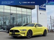 2021 FORD MUSTANG EcoBoost Premium Fastback