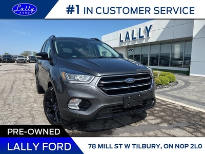 Used 2018 Ford Escape Titanium, Moonroof, Nav, Local Trade! for Sale in Tilbury, Ontario
