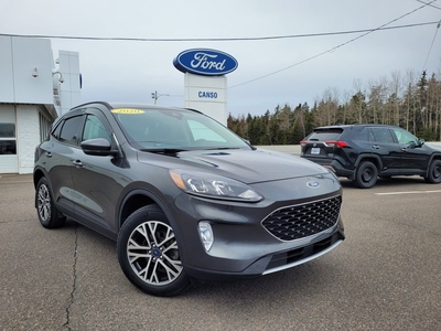 Used 2020 Ford Escape SEL SEL AWD W/MEMORY DRIVERS SEAT for Sale in Port Hawkesbury, Nova Scotia
