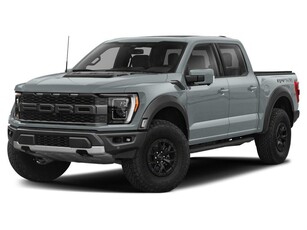 Used 2023 Ford F-150 Raptor MOONROOF LEATHER POWER TAILGATE for Sale in Waterloo, Ontario