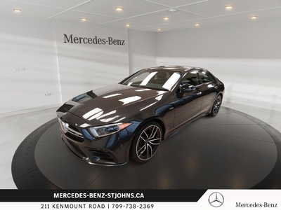 2019 Mercedes-Benz CLS AMG CLS 53