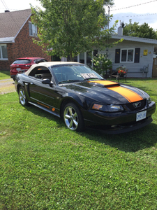 2003 Mustang GT Convertible For Sale or possible trade,