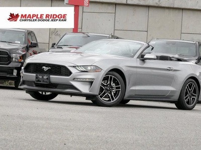 2022 Ford Mustang EcoBoost | Auto, Cloth, Convertible