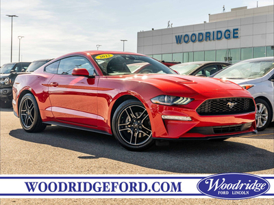 2022 Ford Mustang EcoBoost ***PRICE REDUCED*** 2.3L, 310HP, C...