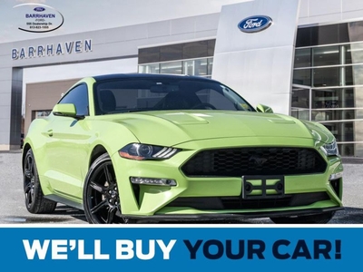 Used 2020 Ford Mustang EcoBoost Premium for Sale in Ottawa, Ontario
