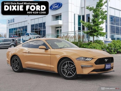 Used 2022 Ford Mustang EcoBoost for Sale in Mississauga, Ontario
