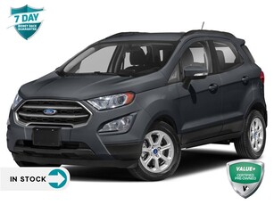 Used 2020 Ford EcoSport SE 2.0L 4WD MOONROOF for Sale in Sault Ste. Marie, Ontario