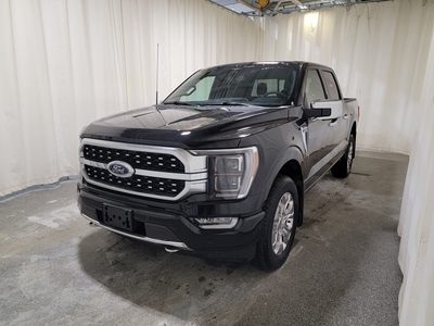2023 Ford F-150 PLATINUM 701A W/TWIN PANEL MOONROOF