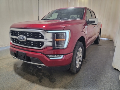 2023 Ford F-150 PLATINUM 701A W/TWIN PANEL MOONROOF