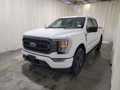 2023 Ford F-150 XLT 302A W/SPORT PACKAGE & FX4 OFF ROAD PKG