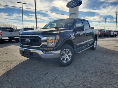 2023 Ford F-150 XLT | 145 | 301A