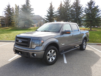 2013 Ford F150 FX4 3.5L Ecoboost (Great Condition)
