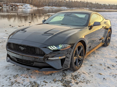 2023 Ford Mustang EcoBoost, One Owner, Clean Carfax