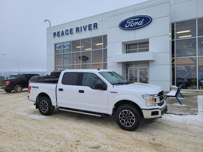 Used 2019 Ford F-150 for Sale in Peace River, Alberta