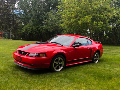2003 MUSTANGS X2 MACH ONE; CONVERTIBLE: VERY LOW KM