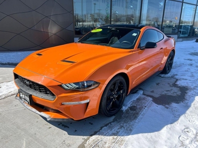Used 2021 Ford Mustang EcoBoost for Sale in Winnipeg, Manitoba