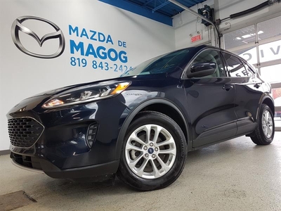 Used Ford Escape 2021 for sale in Magog, Quebec