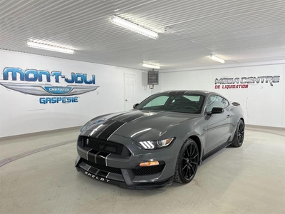 Used Ford Shelby 2018 for sale in Mont-Joli, Quebec