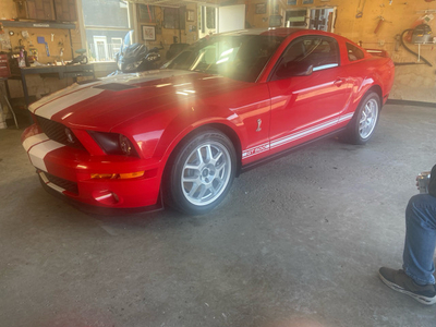 2008 Ford Shelby GT 500 19,800 km