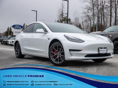 Used 2019 Tesla Model 3 STANDARD RANGE PLUS for Sale in Surrey, British Columbia