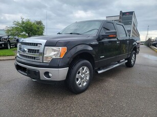 Used 2013 Ford F-150 XLT for Sale in Oakville, Ontario