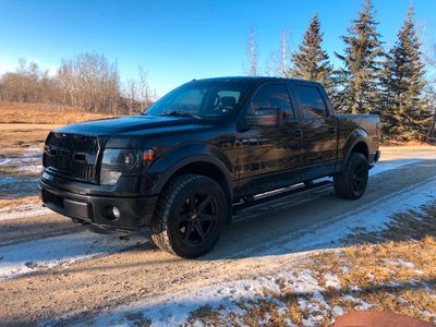 Immaculate Ford F150 FX4, Loaded, LOW KM