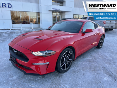 2019 Ford Mustang EcoBoost - Aluminum Wheels