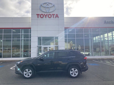 2019 Toyota RAV4 LE