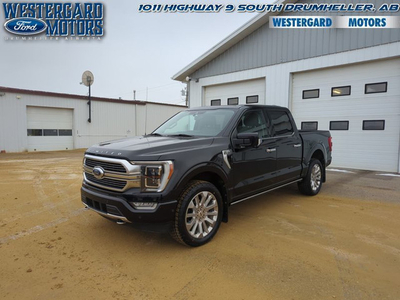 2021 Ford F-150 Limited - Leather Seats - Cooled Seats