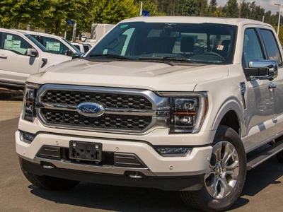 New 2023 Ford F-150 PLATINUM for Sale in Abbotsford, British Columbia