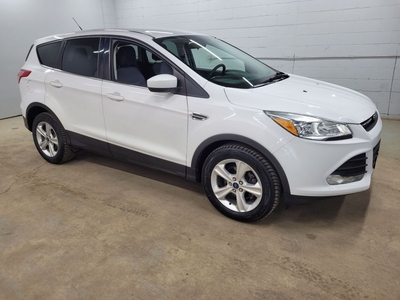 Used 2014 Ford Escape SE for Sale in Guelph, Ontario