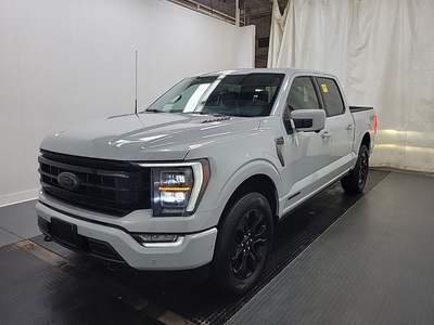 Used 2023 Ford F-150 PLATINUM for Sale in Camrose, Alberta