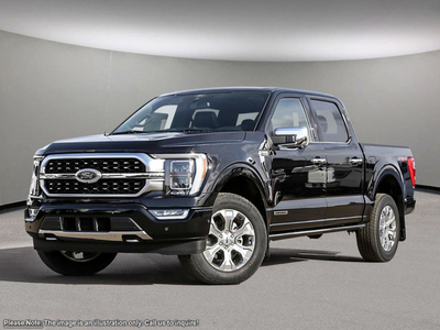 2023 Ford F-150 PLATINUM - INTERIOR WORK SURFACE/TWIN PANEL MOON