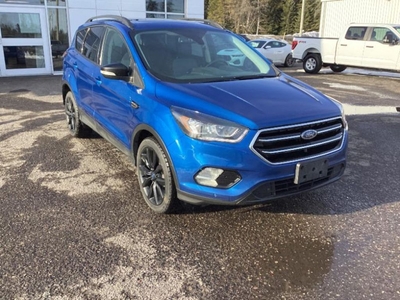 Used 2019 Ford Escape Titanium for Sale in Nipigon, Ontario