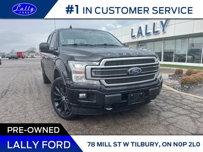 Used 2019 Ford F-150 Limited, Moonroof, Nav, Loaded! for Sale in Tilbury, Ontario