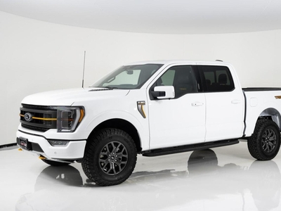 Used 2022 Ford F-150 PLATINUM for Sale in Greater Sudbury, Ontario