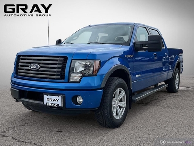 Used 2012 Ford F-150 FX4/CERTIFIED/2 YR UNLIMITED WARRANTY for Sale in Burlington, Ontario